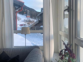 Perfect location ski-in Åre